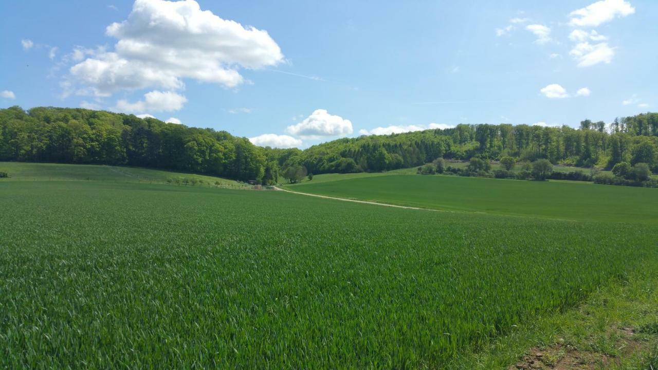 Friedland - Gross Schneen Goe 10 Km Exterior foto